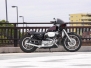 Harley-Sportster-04